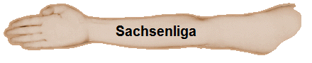 Sachsenliga